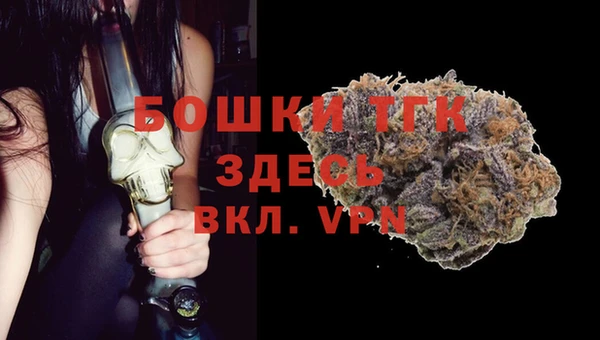 гидра Бутурлиновка