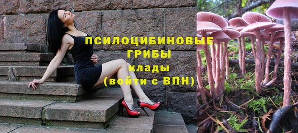 герыч Осинники