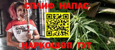 spice Аргун