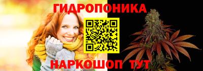 spice Аргун
