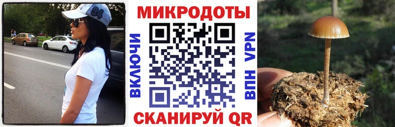 Галлюциногенные грибы MAGIC MUSHROOMS  Борисоглебск 