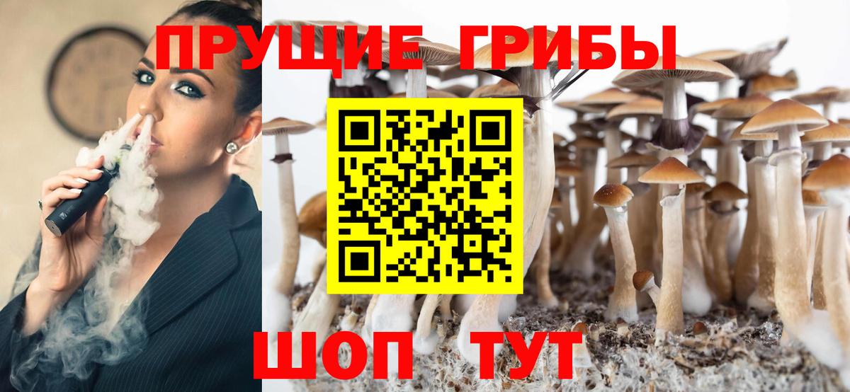 Борисоглебск  Галлюциногенные грибы MAGIC MUSHROOMS  Вход с VPN 