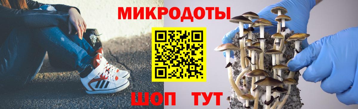 Псилоцибиновые грибы Magic Shrooms  Борисоглебск 